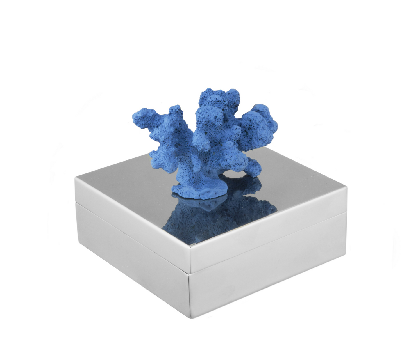 Coral Silver Box