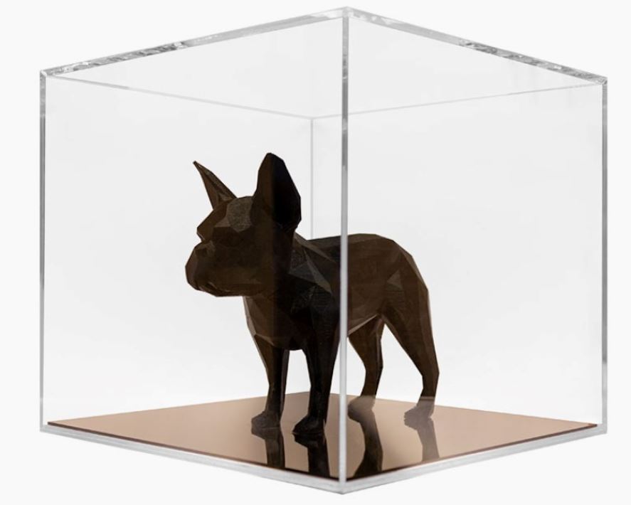 Showcase your Pet!
