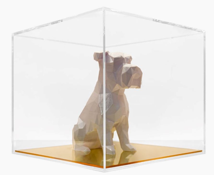 Showcase your Pet!