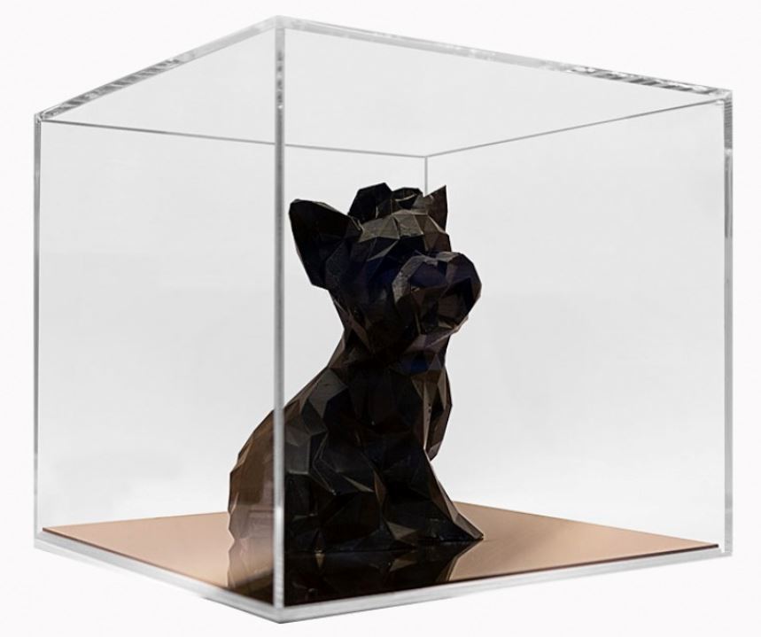 Showcase your Pet!