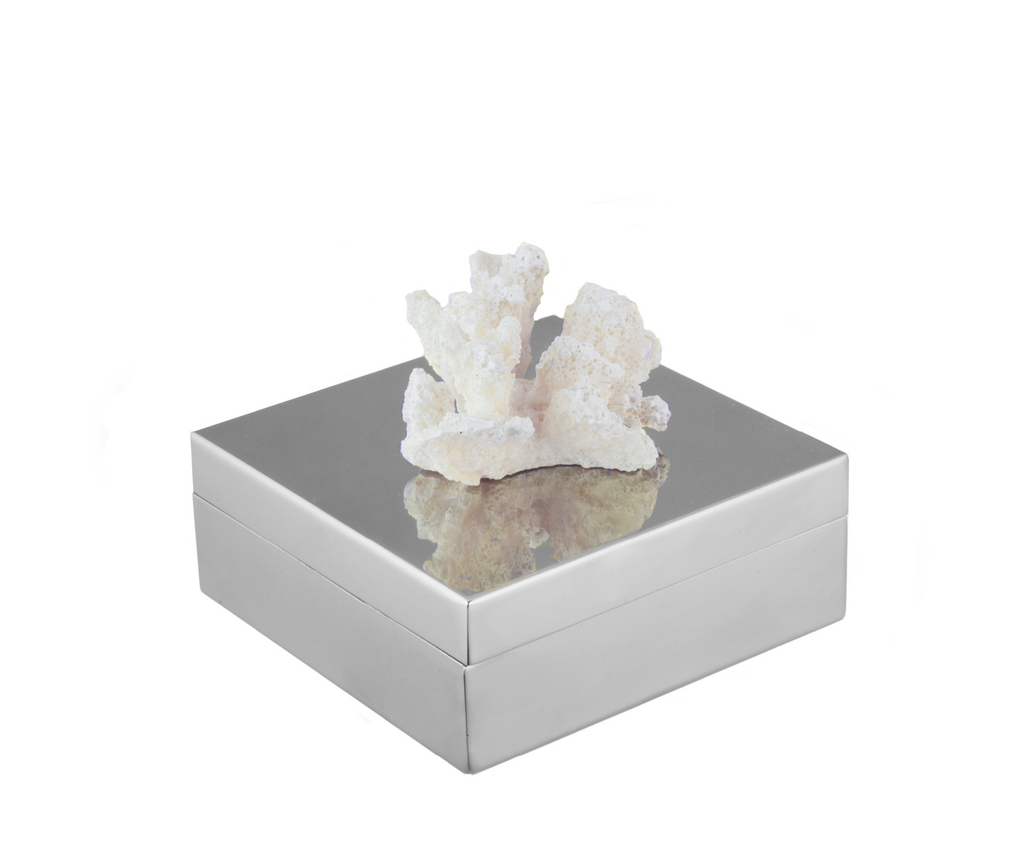 Coral Silver Box