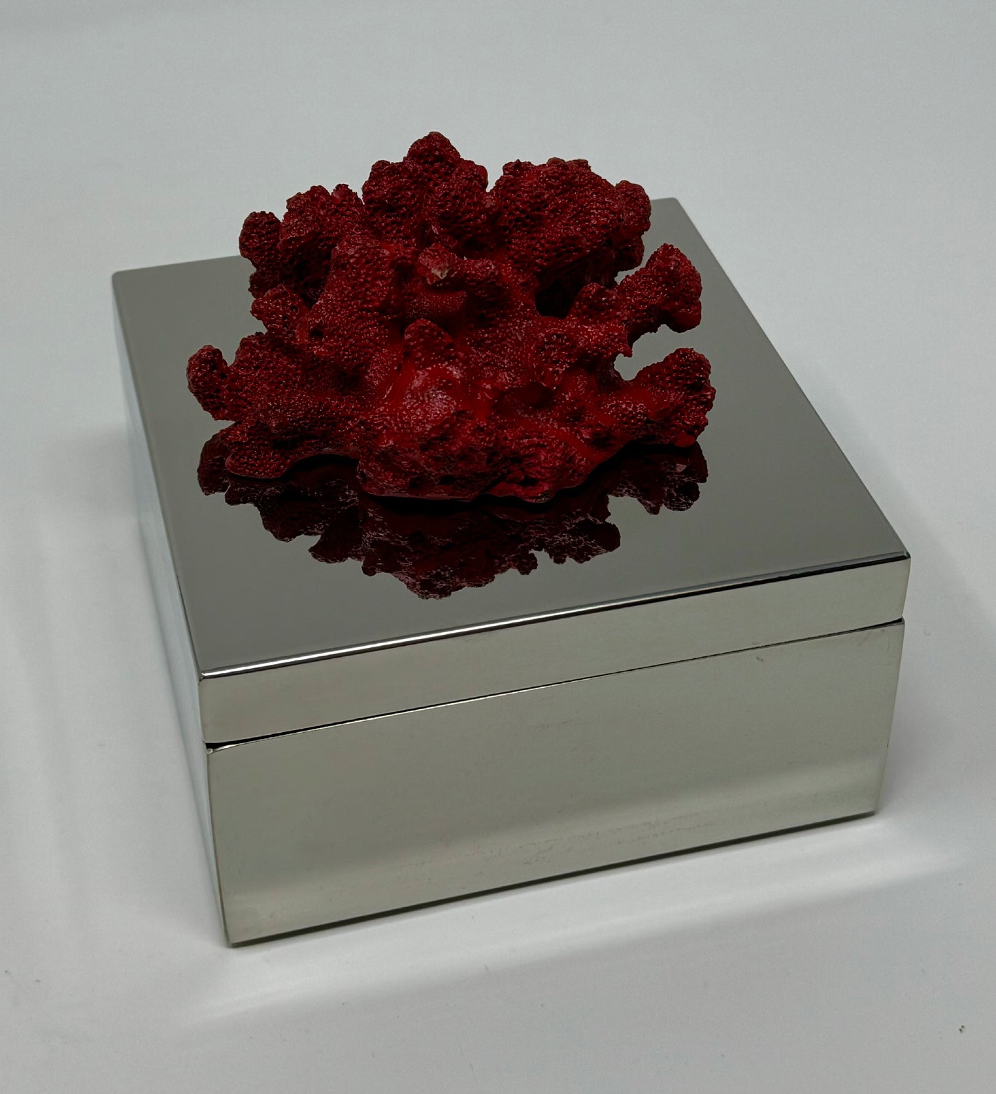Coral Silver Box