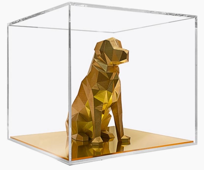 Showcase your Pet!